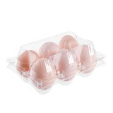 Disposable Egg Tray