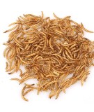 Soft Shredded Chicken Snack Treats for Dog