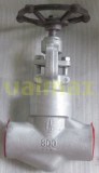 Check Valve, 14 Inch, 900 LB, RF, Flange End, BS 1868