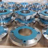 Weld Neck Flanges