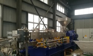 PET Pelletizing Machine