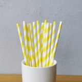 Striped Paper Straws