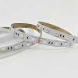 5050 60LED/M RGB LED Strip Light