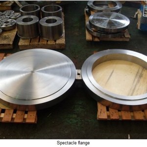 Spectacle Blind Flanges