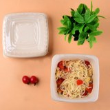 Compostable Bowls & Lids