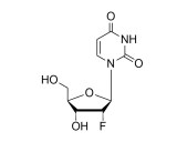 2'-Fluoro Modified Deoxynucleosides