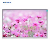 1000nit High Brightness Industrial 10.1 Inch LCD Display Screen