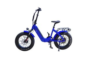 Electric Folding Bike