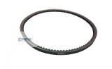 Common Vehicle Drive Belt