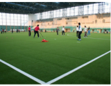 Indoor Football Turf