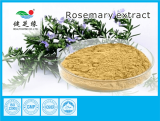 Rosemary Extract