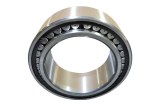 Toroidal Roller Bearing