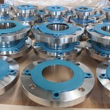 Weld Neck Flanges