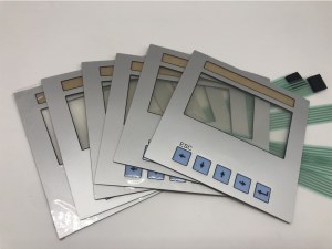 Membrane Switch Panel with Label Strip Insert