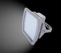 50w Led Flood Light