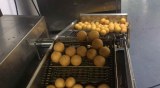 Doughnut holes machines for sale-Yufeng