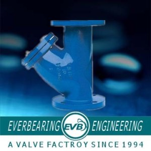 evb1994