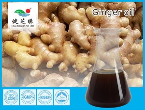 Ginger Root Essential Oil