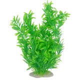 Fish Tank Plastic Plants: Oplismenus Compositus