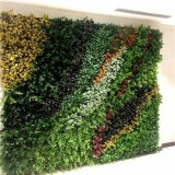 Artificial Plant Wall