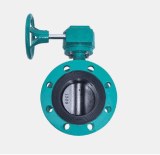 Flanged Concentric Butterfly Valve