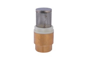 Brass Check Valve