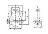 EN 13889 Shackle