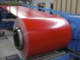 Color Aluminum Sheet/Coil