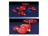 Plug Valve