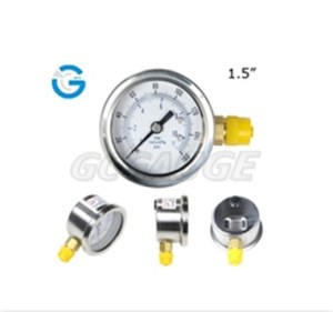 2 Inch DN10 Mining Pressure Gauges