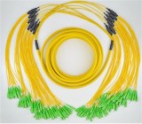 Introduction of Bulk Fiber Optic Cables Assembly