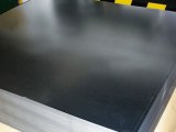 Galvanized Steel Sheet