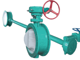 Butterfly Valve