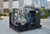 Special Gas Compressor