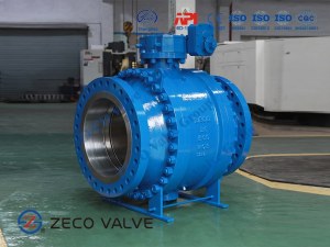 Globe Valve / Check Valve