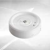 Emergency downlight