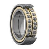 Double Row Angular Contact Ball Bearing