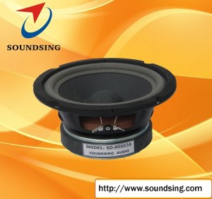 8" Karaoke Speaker