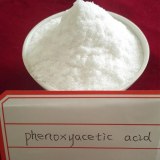 Phenoxyacetic Acid