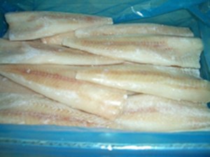 FROZEN ALASKA POLLOCK FILLETS