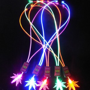 LED Flashing Necklace