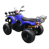 Electric ATV Quad Bike