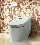 HK768 bidet électronique intelligent de toilette multifonction de performance stable lu...