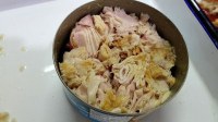 Canned Tuna Chunk In Oil