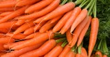 VENDRE Carottes quantité 100 tonnes disponibilité immédiate