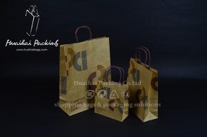 Shopping Paper Bag