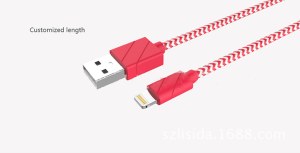 USB cable