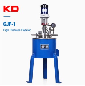 High Pressure Reactor