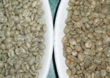 Arabica vert et café Robusta S13, S16 et S18