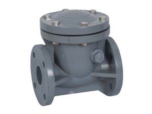 Plastic swing check valves